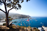 Catalina Island