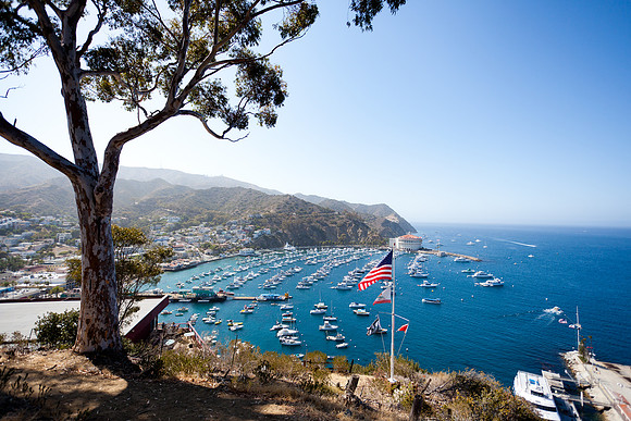Catalina Island
