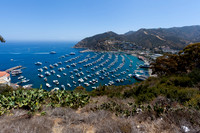 Catalina Island Avalon Harbor