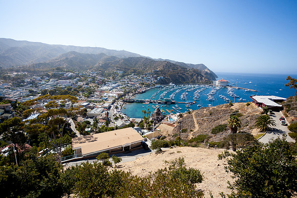 Catalina Island