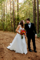 Abigail + Daniel