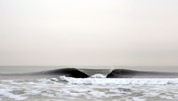Carolina Beach A-Frame