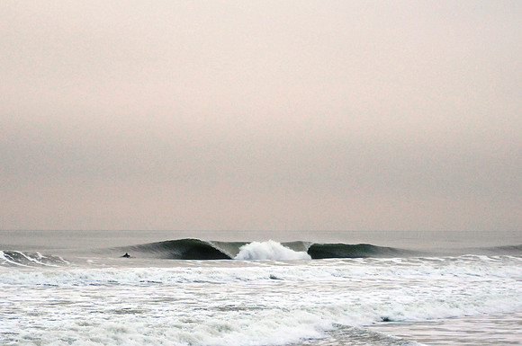 Carolina Beach Lineup