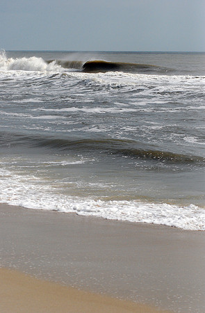 Carolina Beach Lineup