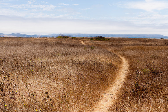 Grassland Trail