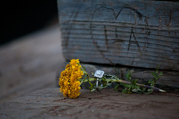 The Proposal