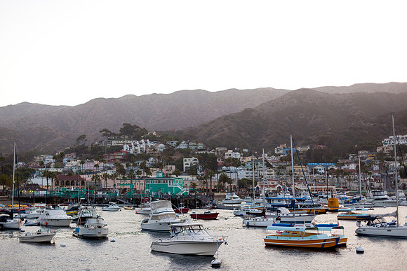 Catalina Island Avalon Harbor