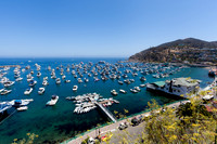 Catalina Island Avalon Harbor