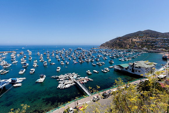 Catalina Island Avalon Harbor