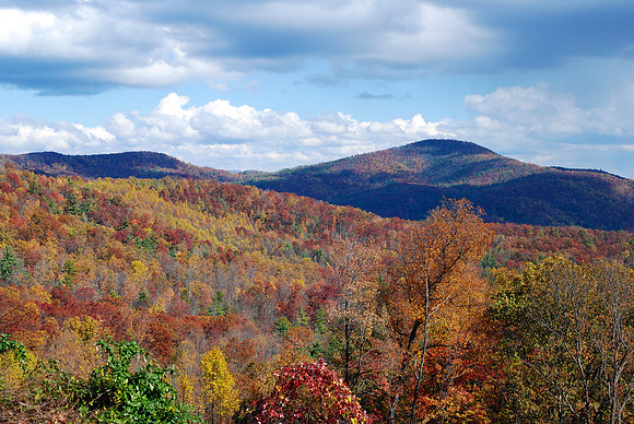 Smoky Mountains - Autumn Colors