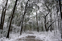 Snow at Snows' Cut
