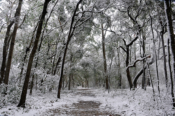 Snow at Snows' Cut