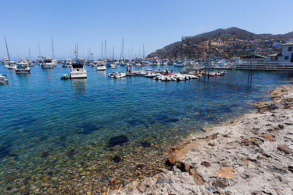 Catalina Island Avalon Harbor