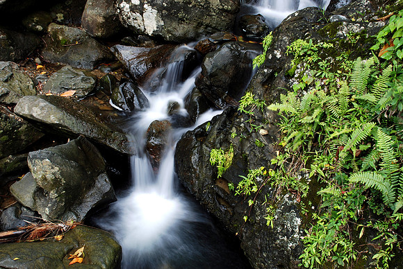 El Yunque Rainforest