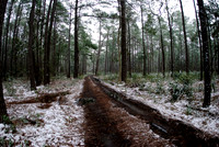 A Rare Snow in Wilmington.